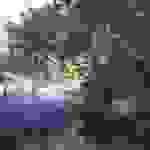 an5