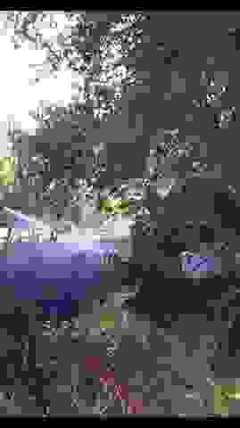 an5