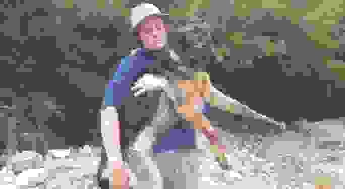 AN 3