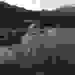 an7
