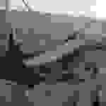 an8