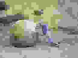 1 6