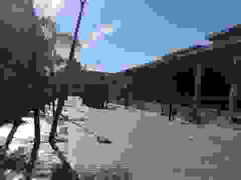 an