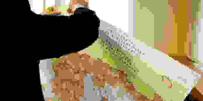 An