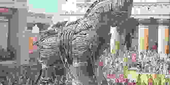 An