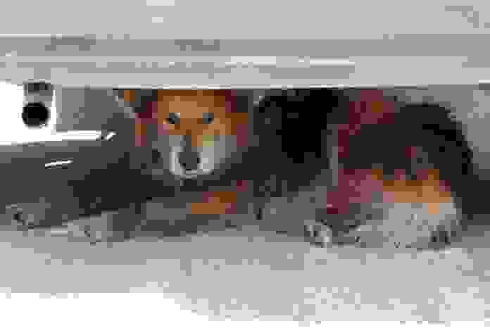 An