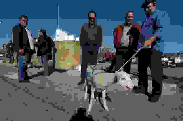 An