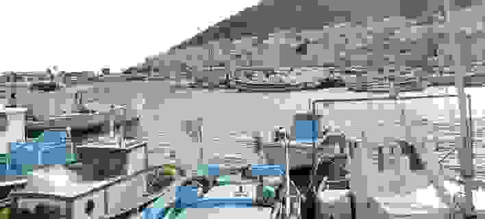 An