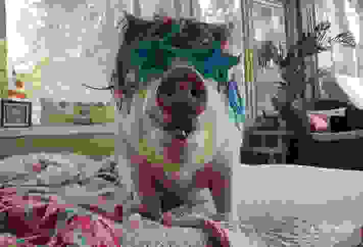 1