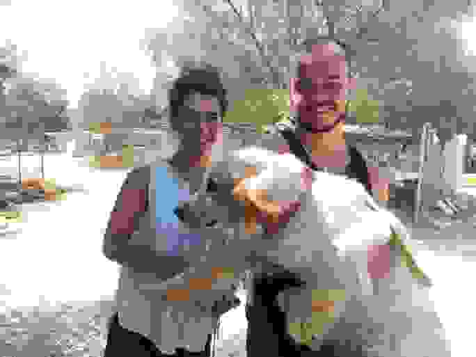3
