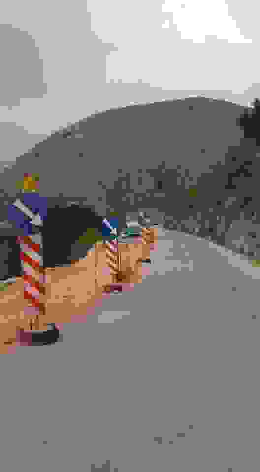 45233600 2295703033836371 4408545365385543680 N