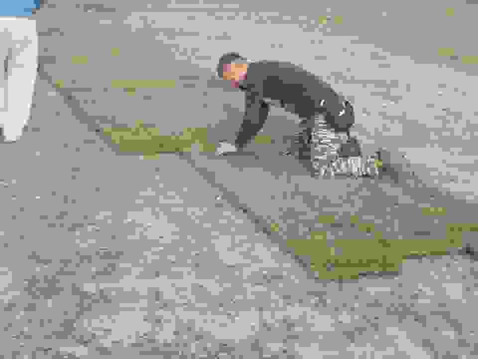 45245937 1119547708222100 5178901454194212864 N