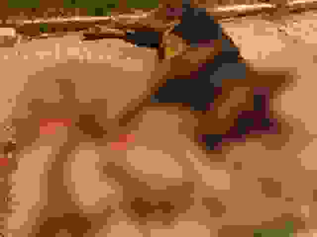 50609799 2208336562761866 1517831632701095936 N Censored (1)
