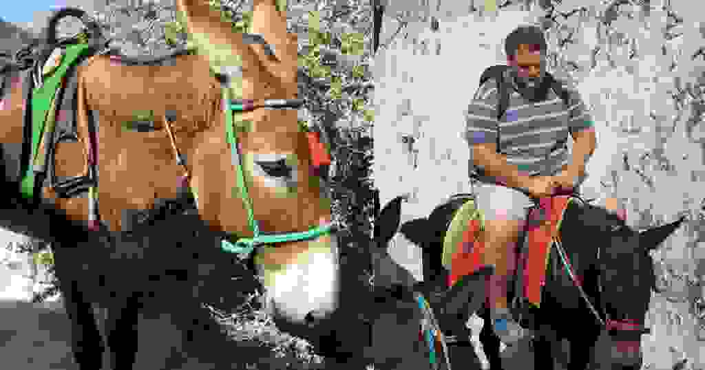 698d51a19d8a121ce581499d7b701668 31
