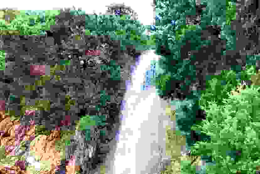 978381b32a35d0d8b11b830e2721bee3 L