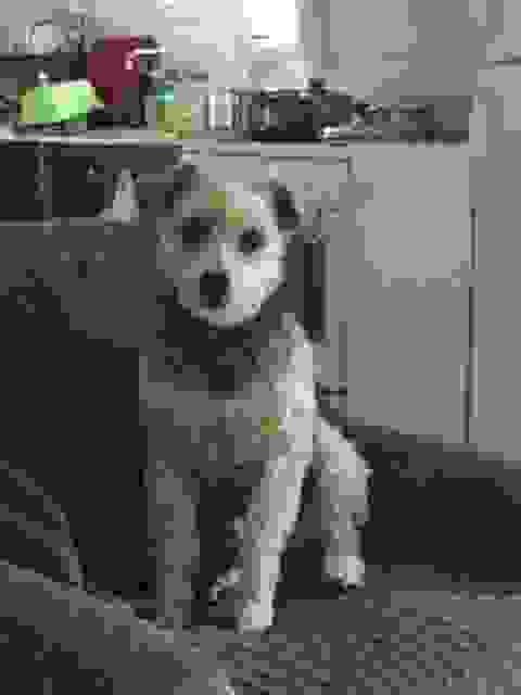 51078363 2259057004414221 2060923761879678976 N