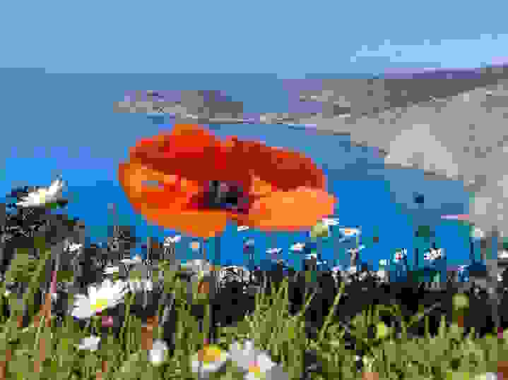 31091805 2031291383799614 5009347325148004352 N