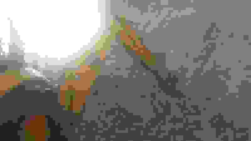 20190926 180857 E1569521804611