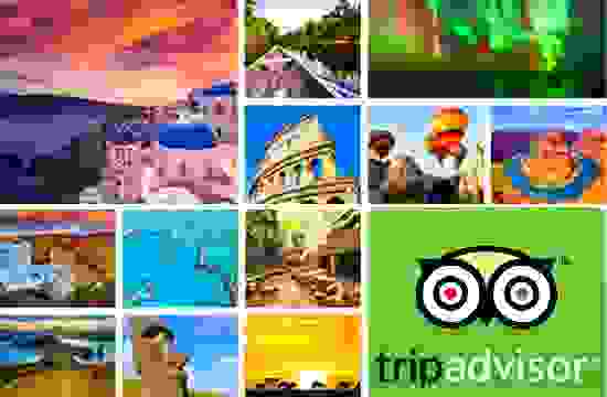 Tripadvisor 946162377