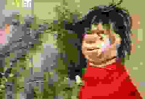 ΠΙΚΟΣ ΑΠΙΚΟΣ 480×330