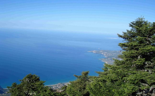 Απαγόρευσης κυκλοφορίας οχημάτων και εκδρομέων στον Εθνικό Δρυμό Αίνου
