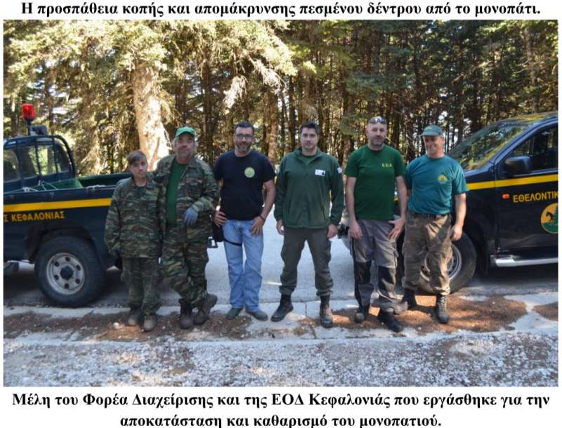 ΕΘΕΛΟΝΤΙΚΗ ΟΜΑΔΑ ΜΕΤΑΞΑΤΩΝ