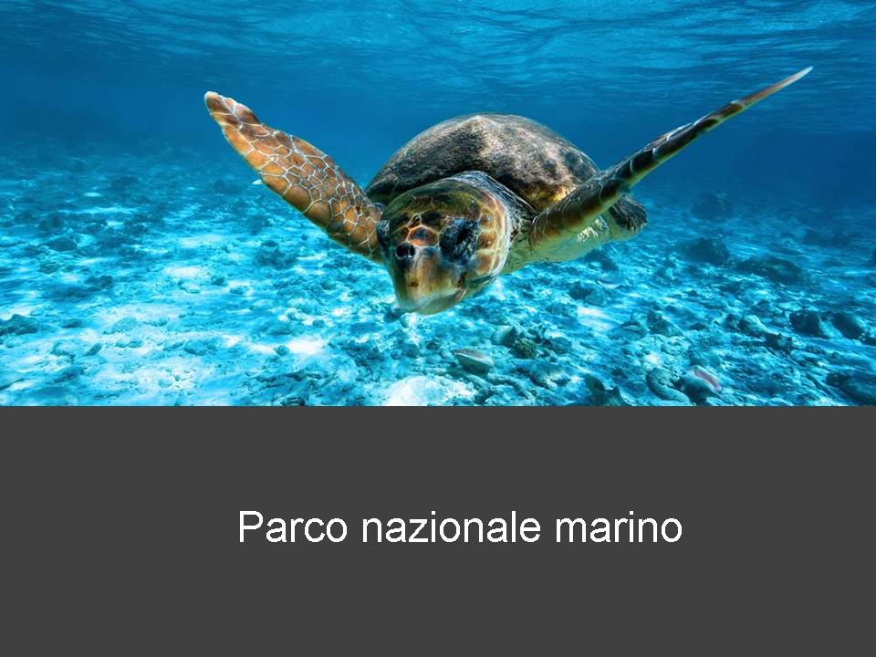 Τουριστική διαφήμιση Ιονίων Νήσων