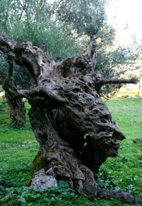 Άρχισε το λιομάζωμα στο νησί μας κόντρα στην πανδημία [εικόνες]