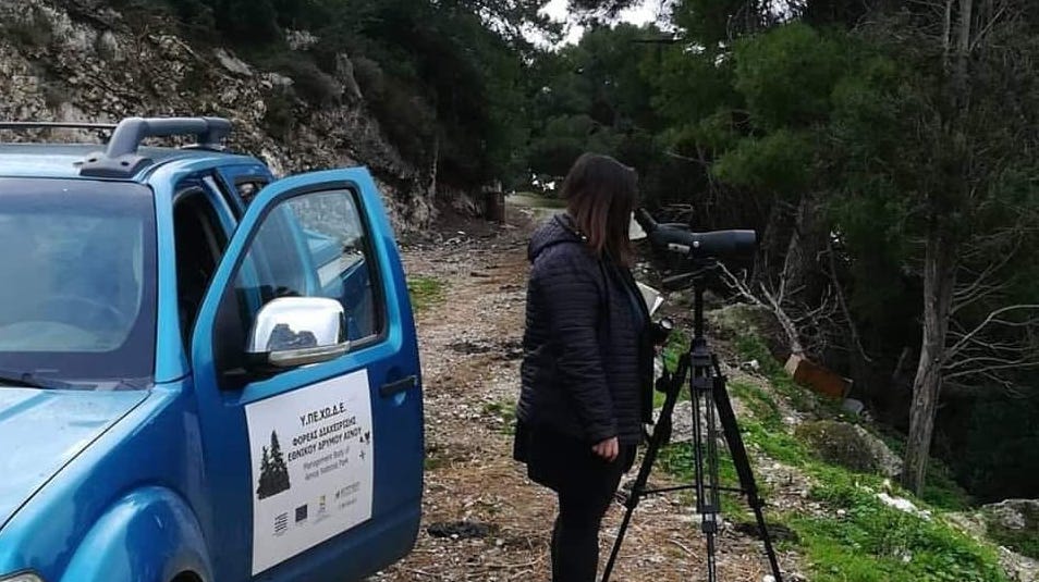 Φορέας Διαχείρισης Αίνου: Σχετικά με την παράνομη βόσκηση εντός του πυρήνα του Εθνικού Δρυμού Αίνου