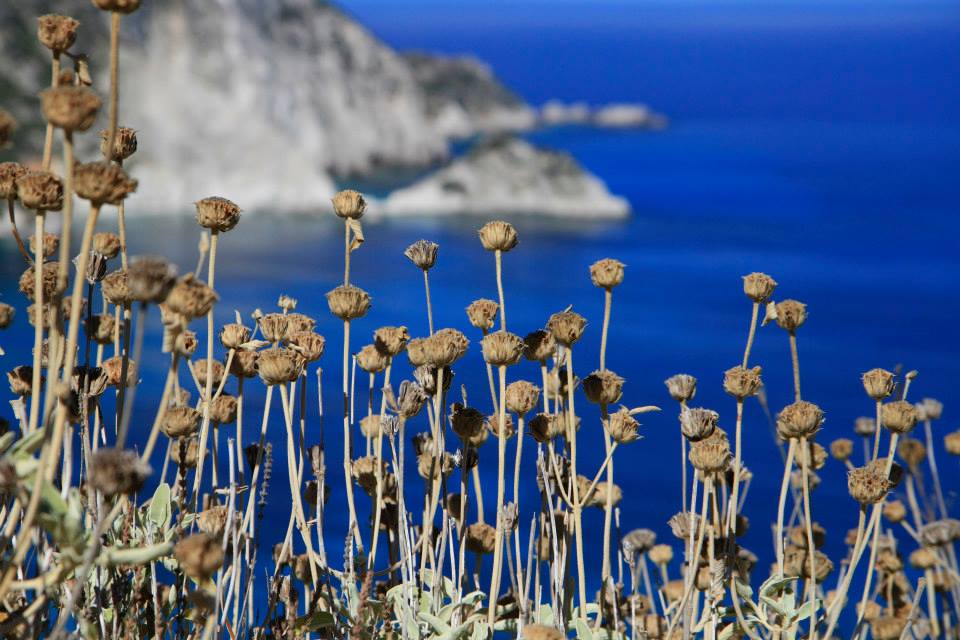 «Αλλάζουν χέρια» ξενοδοχεία Κεφαλονιάς, Ιθάκης – Το εύρος των τιμών
