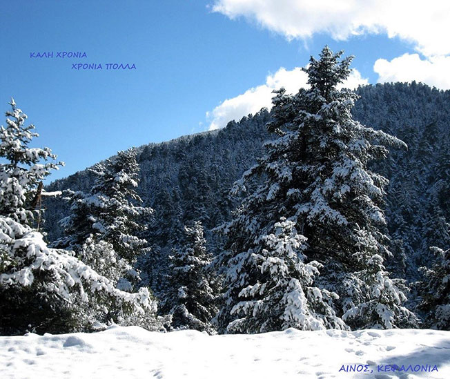 Ο Μάκης Δαναλάτος μας εύχεται Καλή Χρονιά.
