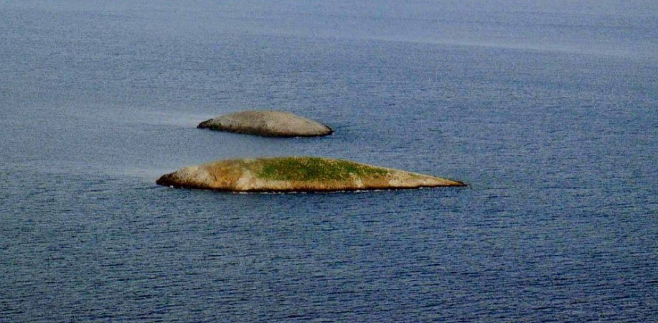 ΕΡΕΥΝΑ: ΙΜΙΑ 25 χρόνια μετά – Οι αφανείς πρωταγωνιστές θυμούνται