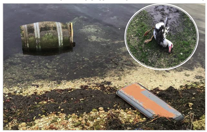 Κι’ άλλες ασχήμιες στο Άλσος του Κουτάβου