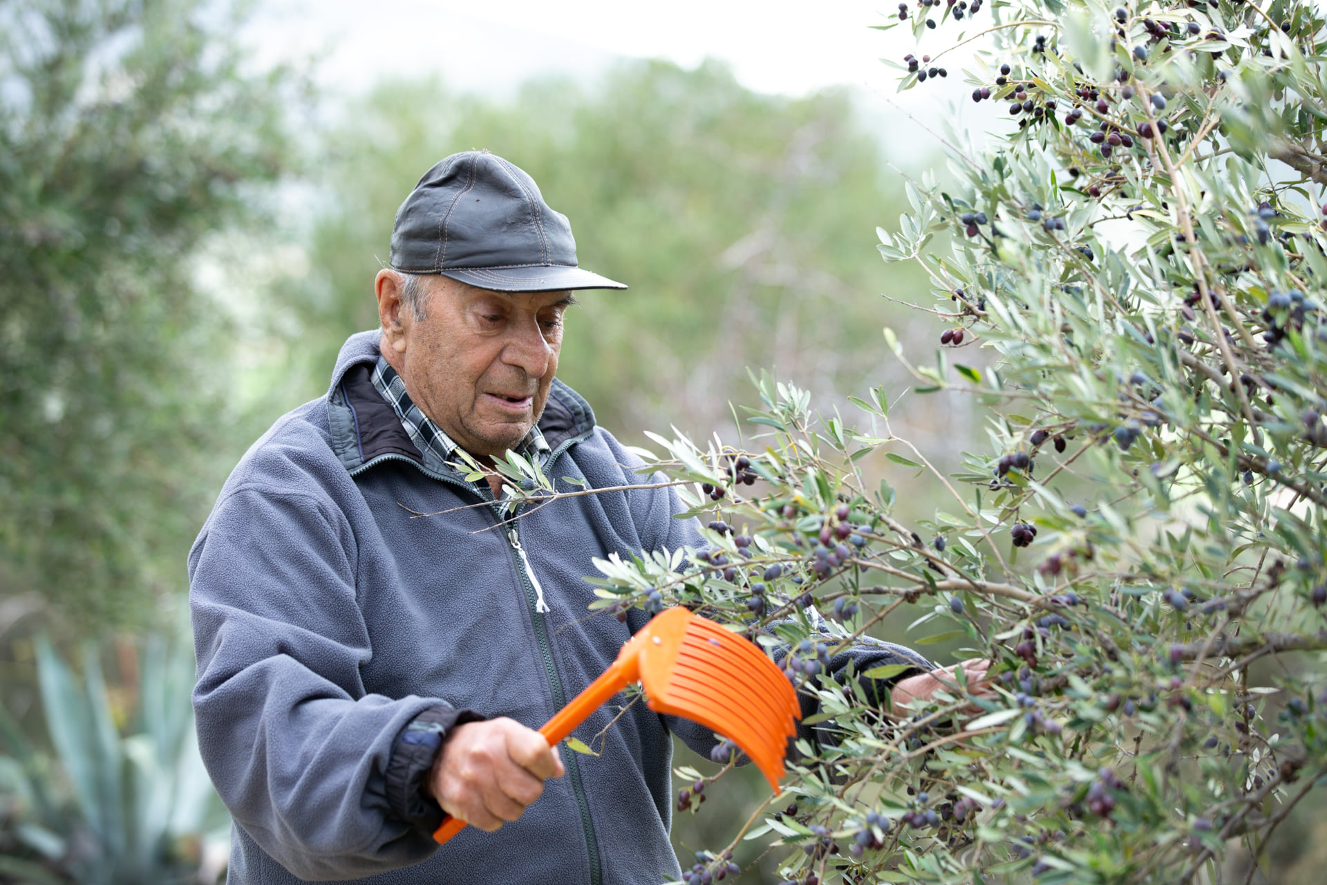 Πρεμιέρα σήμερα για τον εμβολιασμό των άνω των 85 ετών