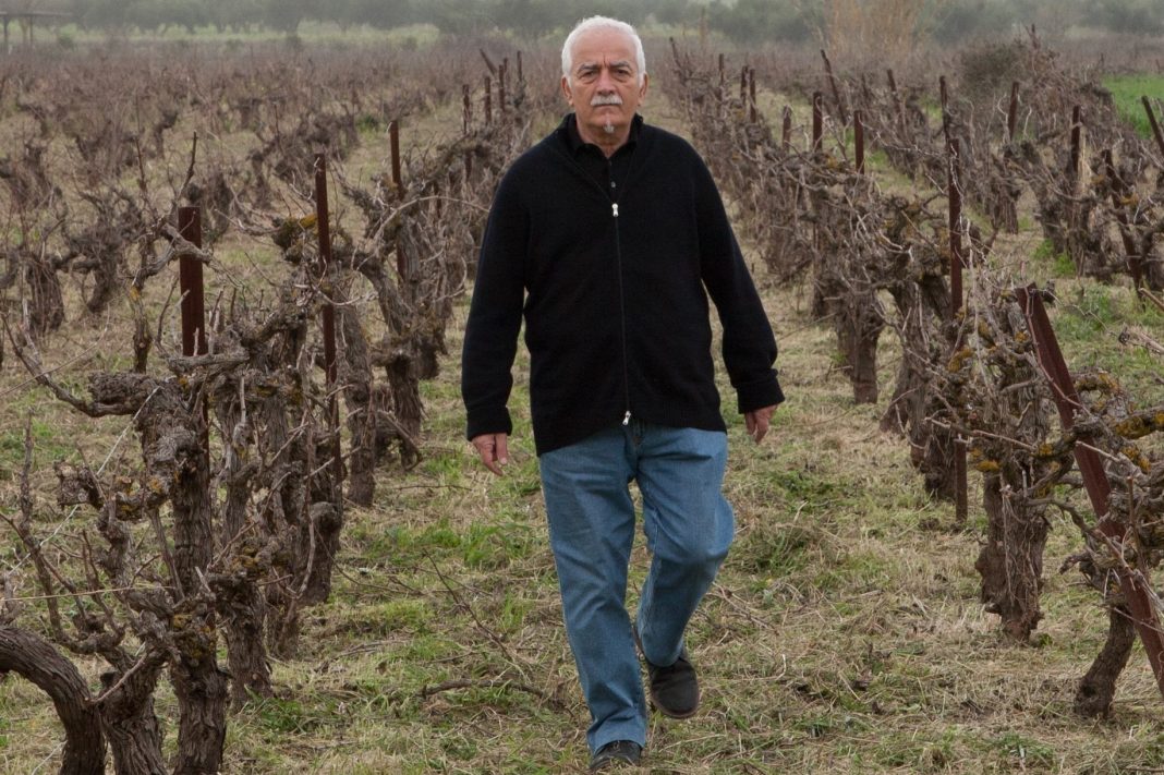 “Σήκωσαν” ολόκληρο οινοποιείο στο Βουνί-Μαντζαβινάτα και κανείς δεν πήρε είδηση!