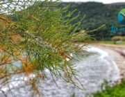 Το γραφικό χωριουδάκι του Αθέρα και το Πόρτο Αθέρα