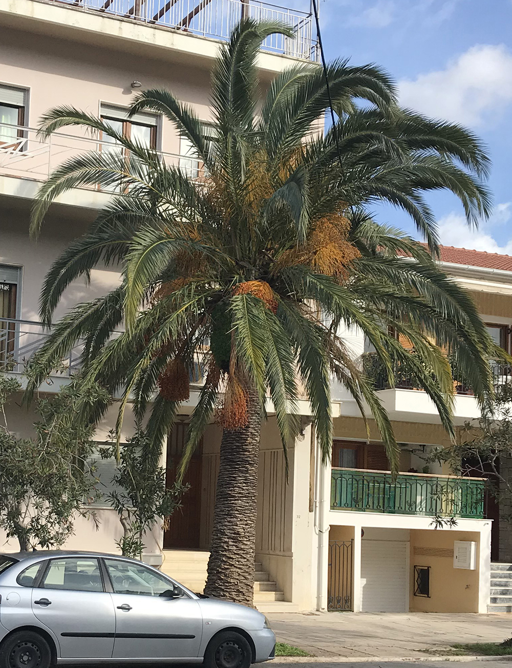 Φοίνικας-Survivor, ή …ο τελευταίος των Μοϊκανών!