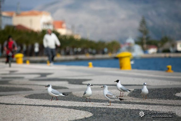 Καιρός: Αίθριος με άνοδο της θερμοκρασίας