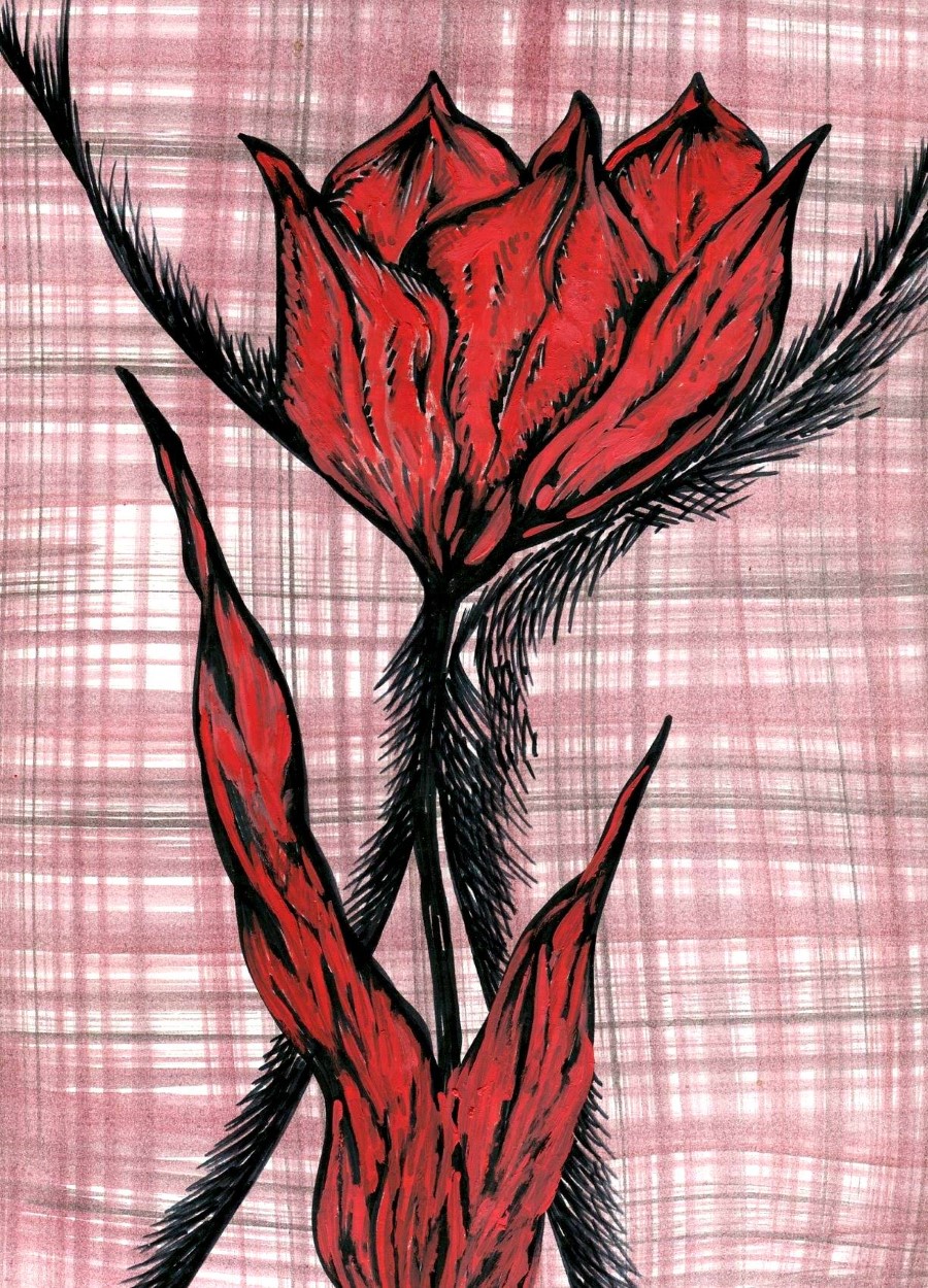 ΚΩΣΤΑΣ ΕΥΑΓΓΕΛΑΤΟΣ ΚΟΚΚΙΝΗ ΤΟΥΛΙΠΑ ΜΙΚΤΗ ΤΕΧΝΙΚΗ