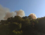 ΑΥΘΑΙΡΕΣΙΕΣ ΤΗΣ NCH ΣΤΟΝ ΕΡΗΜΙΤΗ ΥΠΟ ΤΗΝ ΣΚΕΠΗ ΚΥΒΕΡΝΗΣΗΣ &ΠΙΝ