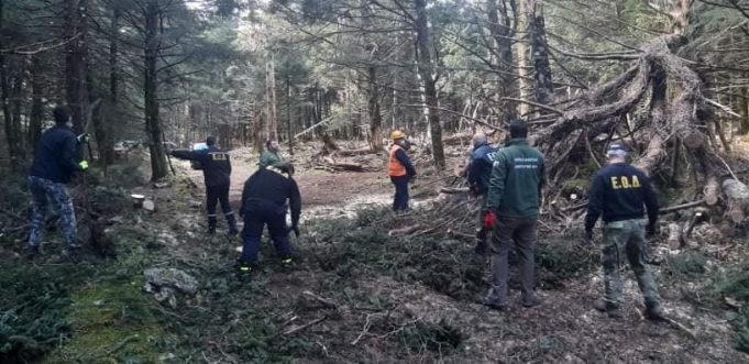 Εθελοντικη Ομαδα Δασοπυροσβεσης Κεφαλλονιάς: Καθάρισε πεσμένα δέντρα στον Αίνο