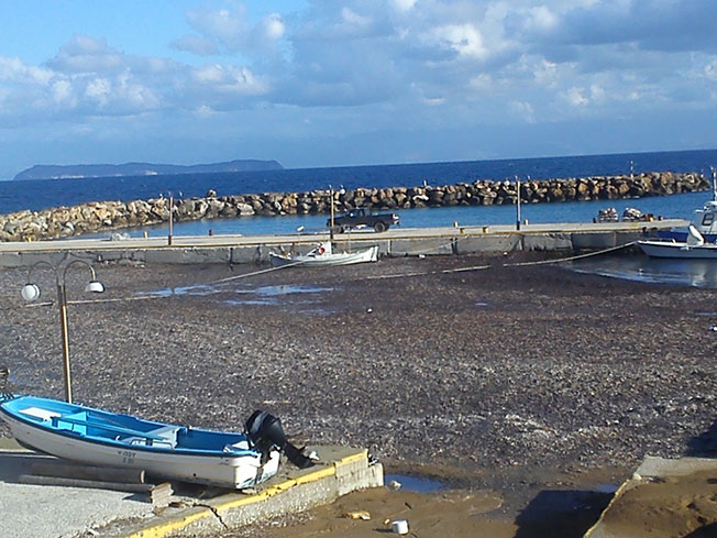 Για μια ακόμη φορά το «λιμάνι» στο Μαθράκι είναι μπαζωμένο από φύκια και αδιάβατο