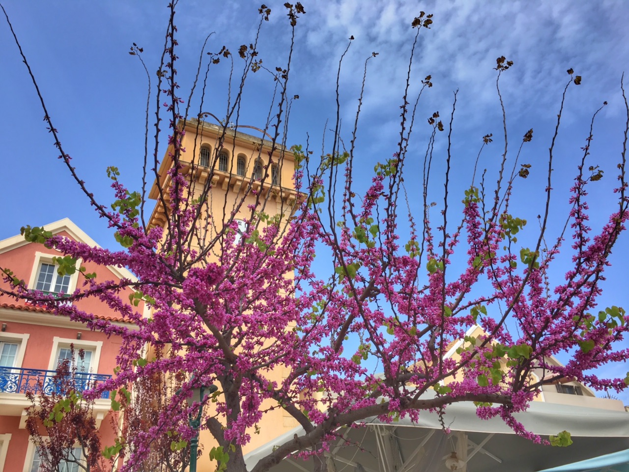 Παναγής Σιμωτάς: Παρήγορη Άνοιξη