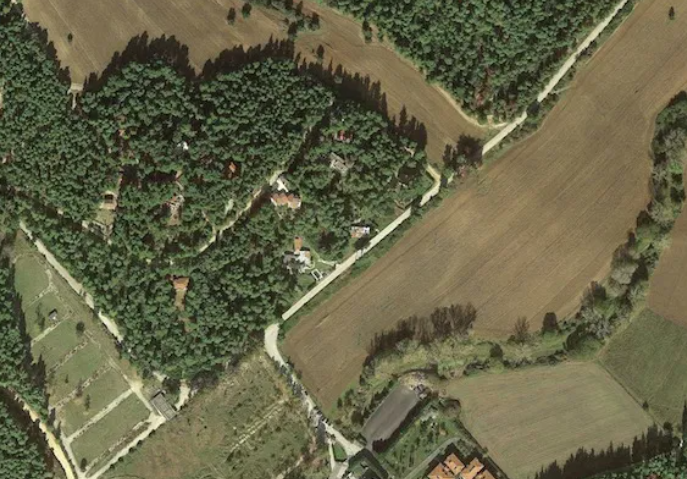 Τα Δάση της Επτανήσου και το Ελληνικό Δημόσιο. Μελέτη για την κυριότητα των Δασών