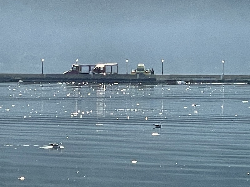Τι αναφέρει το Λιμενικό για τον εντοπισμό του νεκρού άνδρα στη Γέφυρα