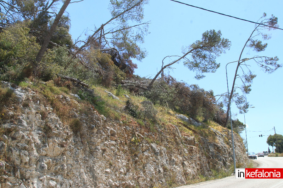 kommena dentra015
