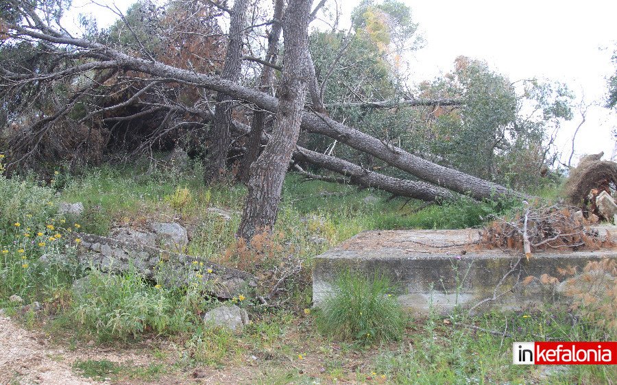 ΘΑ ΚΑΟΥΜΕ ΖΩΝΤΑΝΗ !!! ΚΟΚΚΙΝΙΖΕΙ ΚΑΝΕΙΣ ΕΛΕΟΣ ΠΙΑ ΤΙ ΑΛΛΟ ΠΡΕΠΕΙ ΝΑ ΣΑΣ ΠΟΥΜΕ !!! (ΑΞΙΟΣ Ο ΜΙΣΘΟΣ ΣΑΣ )