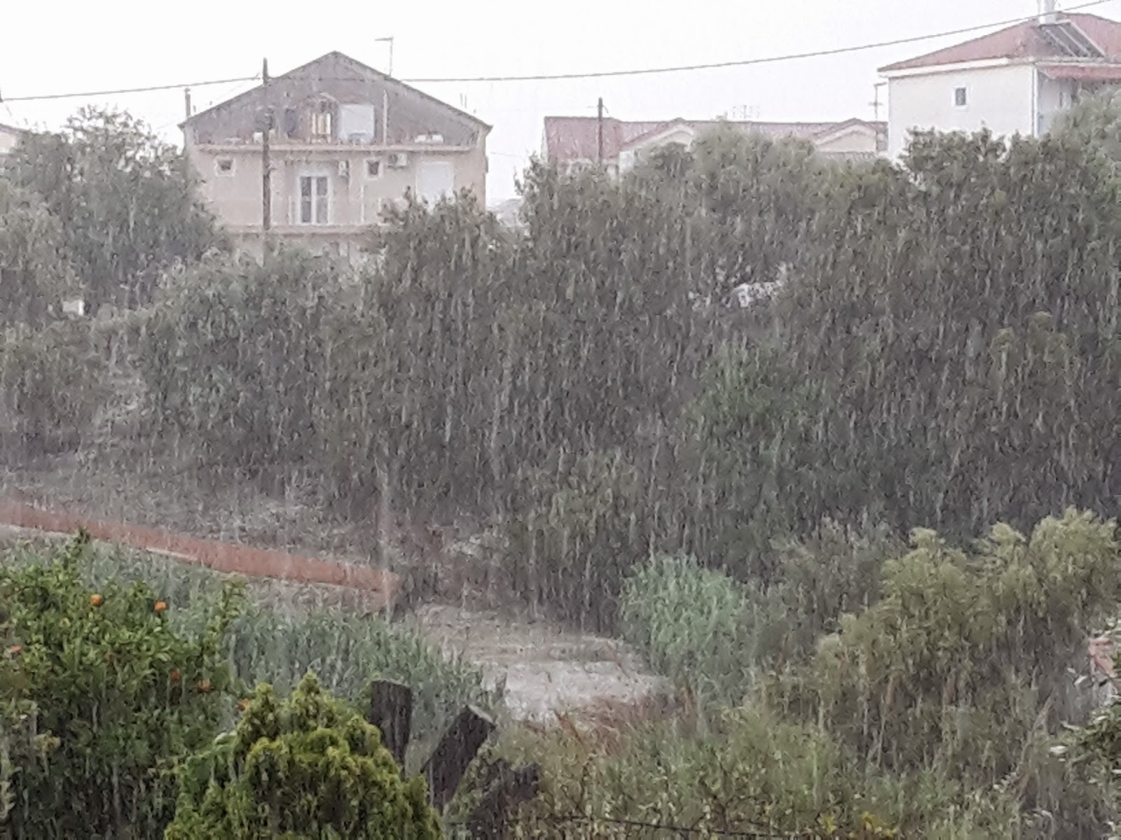 Ερώτηση Καραθανασόπουλου και Παπαναστάση για τις αποζημιώσεις των πληγέντων από το χαλάζι παραγωγών της Κεφαλονιάς