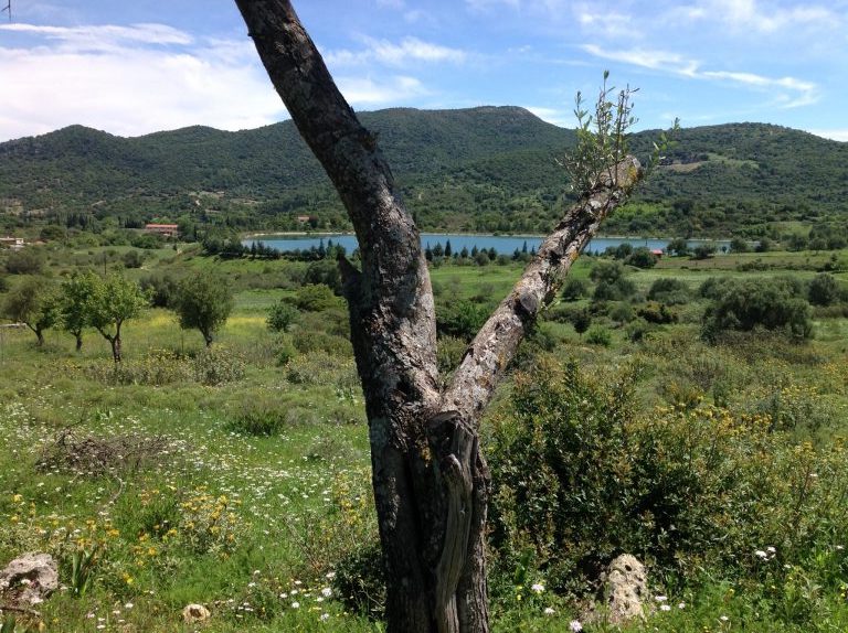 Η κοιλάδα της αρχαίας πόλης των Πρόννων -Ένα ιστορικό μελέτημα