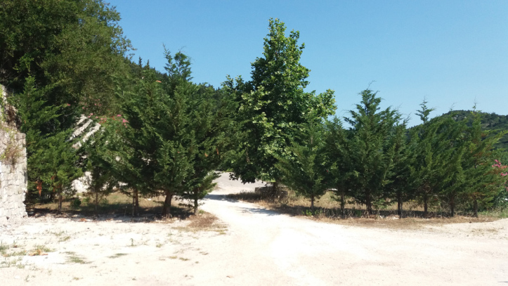 Καμιναράτα: Καθαρισμός οικοπέδων από τους πολίτες εν όψη της αντιπυρικής περιόδου [εικόνες]